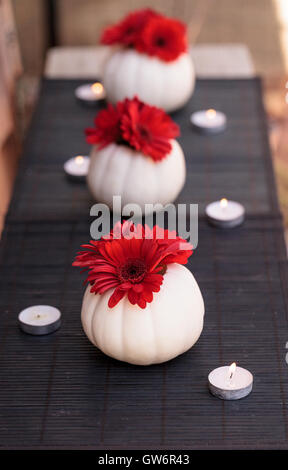 Rosso margherite gerbera in bianco intagliato Casper zucche su una tavola nera impostazione con candele bianche in corrispondenza delle vacanze. Foto Stock