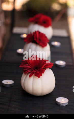 Rosso margherite gerbera in bianco intagliato Casper zucche su una tavola nera impostazione con candele bianche in corrispondenza delle vacanze. Foto Stock