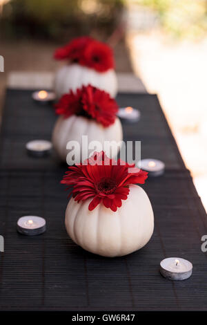 Rosso margherite gerbera in bianco intagliato Casper zucche su una tavola nera impostazione con candele bianche in corrispondenza delle vacanze. Foto Stock