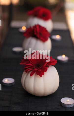 Rosso margherite gerbera in bianco intagliato Casper zucche su una tavola nera impostazione con candele bianche in corrispondenza delle vacanze. Foto Stock