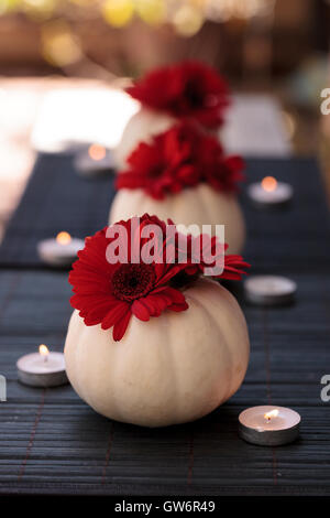 Rosso margherite gerbera in bianco intagliato Casper zucche su una tavola nera impostazione con candele bianche in corrispondenza delle vacanze. Foto Stock