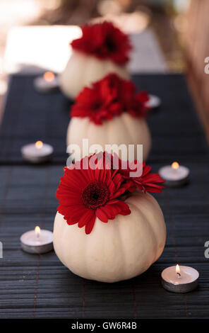 Rosso margherite gerbera in bianco intagliato Casper zucche su una tavola nera impostazione con candele bianche in corrispondenza delle vacanze. Foto Stock