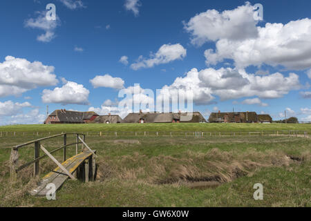 Case in paglia su un cumulo di terra, chiamato Hallig, isolotto di Langeness nel Mare del Nord, Schleswig-Holstein, Germania Foto Stock