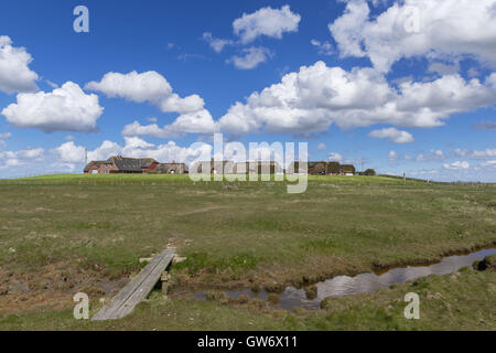 Case in paglia su un cumulo di terra, chiamato Hallig, isolotto di Langeness nel Mare del Nord, Schleswig-Holstein, Germania Foto Stock