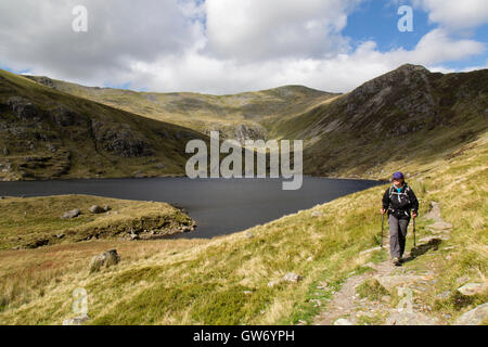 Il camminatore femmina nel Parco Nazionale di Snowdonia, il Galles del Nord. Ffynnon Llugwy serbatoio e parte della gamma Carneddi, sfondo. Foto Stock