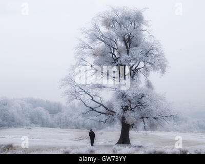 L uomo e il vecchio albero nel paesaggio invernale Foto Stock