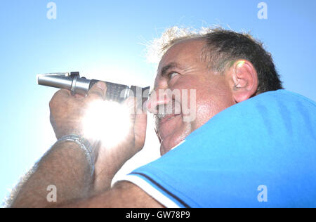 Gengenbach, Germania. Xii Sep, 2016. Karlheinz Mussler utilizza un rifrattometro per controllare il contenuto di Oeschsle delle uve della varietà Mueller-Thurgau durante il raccolto vicino a Gengenbach, Germania, 12 settembre 2016. La vendemmia delle uve di nuovo nell'Ortenau disrict è in pieno svolgimento. Foto: PATRICK SEEGER/dpa/Alamy Live News Foto Stock