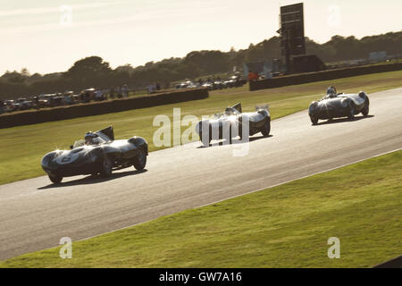 Chichester, Regno Unito, Gran Bretagna. Undicesimo Sep, 2016. Il Sussex TRophey gara per il Campionato del Mondo di vetture sportive di un tipo che ha corso tra il 1955 e il 1960, durante il Goodwood vintage sports car race. © Mark Avery/ZUMA filo/Alamy Live News Foto Stock