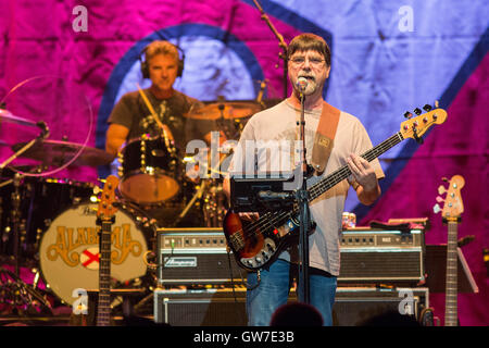 Green Bay, Wisconsin, Stati Uniti d'America. 31 Agosto, 2016. Il bassista TEDDY GENTRY di Alabama suona dal vivo al centro Resch in Green Bay, Wisconsin © Daniel DeSlover/ZUMA filo/Alamy Live News Foto Stock