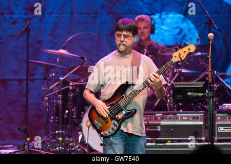 Green Bay, Wisconsin, Stati Uniti d'America. 31 Agosto, 2016. Il bassista TEDDY GENTRY di Alabama suona dal vivo al centro Resch in Green Bay, Wisconsin © Daniel DeSlover/ZUMA filo/Alamy Live News Foto Stock