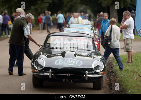 Jaguar E-type auto sulla linea di partenza prima che essi insieme fuori dalla casa di Goodwood nel West Sussex sull'E-Type Round Britain unità costiere, un 3,600-mile tour costiere della Bretagna, a sostegno del cancro della prostata UK. Foto Stock