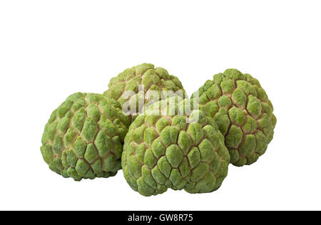 "Anone' (Annona squamosa) isolato su sfondo bianco e il tracciato di ritaglio Foto Stock