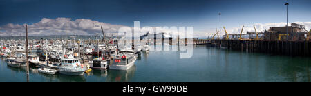 Una foto panoramica di barche da pesca e una nave da crociera ormeggiata nel Homer Spit Harbour, Alaska Foto Stock