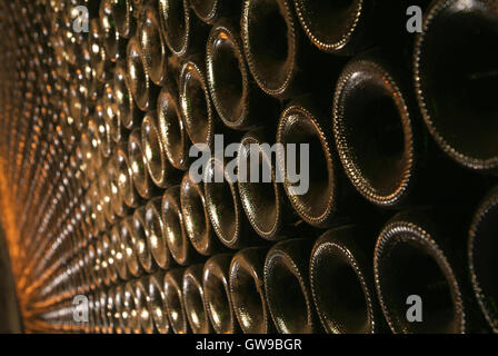 Le bottiglie di vino in cantina. Vigneti di Bordeaux, Francia, Europa Foto Stock