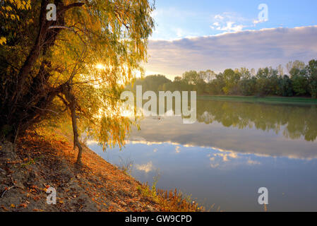 Fiume Siret e sunrise nella foresta di autunno Foto Stock