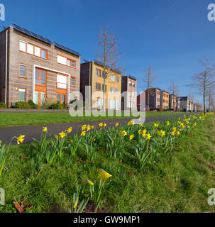 Moderne case residenziali nei Paesi Bassi con i narcisi in fiore nella parte anteriore Foto Stock