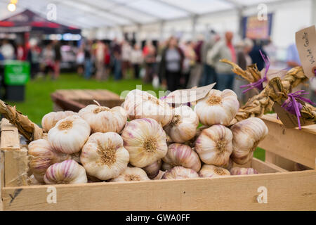 Aglio in vendita a Ludlow Food Festival, Shropshire, Inghilterra, Regno Unito Foto Stock