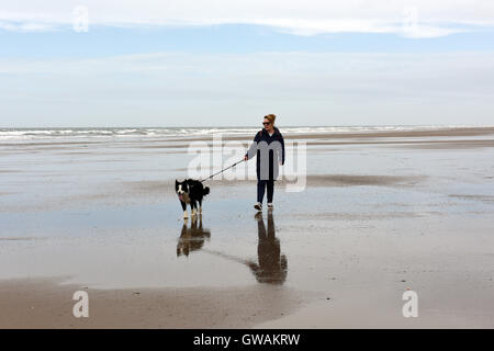 Donna che cammina Border Collie cane sulla spiaggia a Tywyn nel Galles Centrale Foto Stock