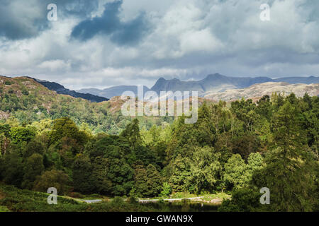 Vista panoramica del Tarn Hows nel Lake District inglese, Cumbria, Regno Unito. Foto Stock