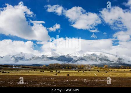 Ranch land & balle di fieno in Arkansas River Valley con i Colorado Rocky Mountain 'Fourteeners' per l'occidente. Foto Stock