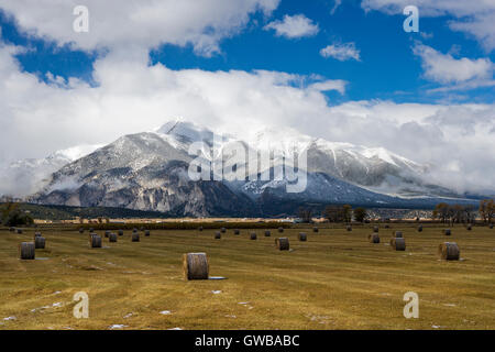 Ranch land & balle di fieno in Arkansas River Valley con i Colorado Rocky Mountain 'Fourteeners' per l'occidente. Foto Stock