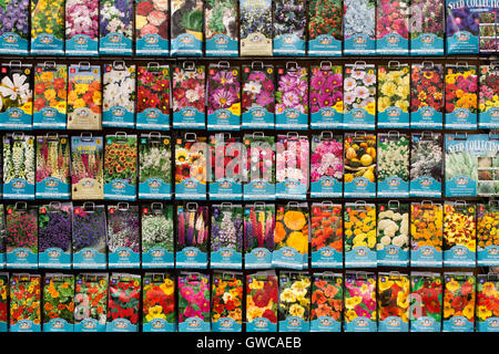 Sementi di fiori di pacchetti per la vendita in un giardino centrale. Regno Unito Foto Stock