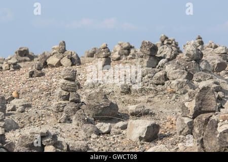 Il Deserto di Tatacoa è una zona arida situato nel dipartimento di Huila nel comune di Villavieja. È caratterizzato da Foto Stock