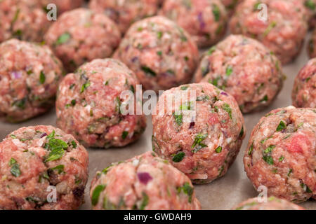 Righe di materie in casa polpette di carne preparati per la cottura su un vassoio, primo piano Foto Stock