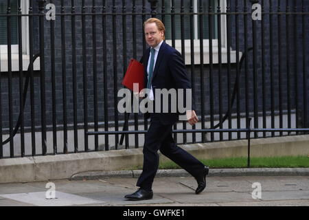 Ufficio di Gabinetto Ministro Ben Gummer arrivando a Downing Street, Londra, per una riunione del gabinetto. Foto Stock