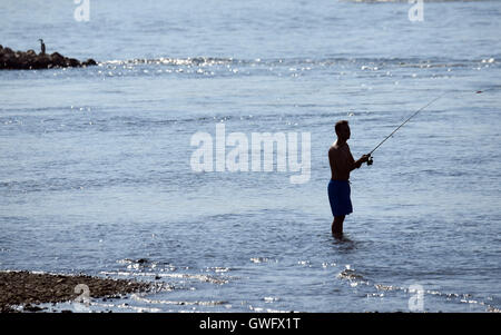 Un uomo pesca sul lungofiume del Reno a Colonia, Germania, 13 settembre 2016. La continua ondata di calore e aggiunto siccità hanno ribassato il livello delle acque del fiume Reno. Foto: Henning Kaiser/dpa Foto Stock