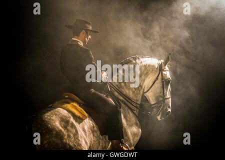 Lusitano. Rider in abito tradizionale eseguendo un piroettare con un stallone grigio di notte. Portogallo Foto Stock