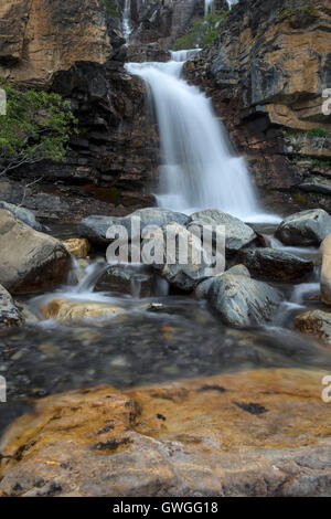 Groviglio cade sulla Icefield Parkway, Jasper National Park, Alberta, Canada Foto Stock