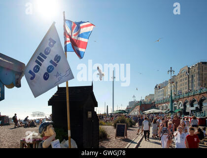 Gelificata anguille, bruciata pier, Union Jack, i360 tower, orde di visitatori, sun e gabbiani sul lungomare di Brighton Foto Stock