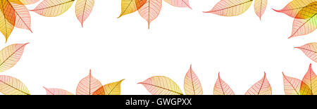 Trasparente foglie autunnali banner su sfondo bianco Foto Stock