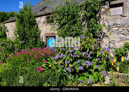 Giardino murato al castello di Fyvie vicino Turriff in Aberdeenshire, Grampian Regione, Scozia Foto Stock