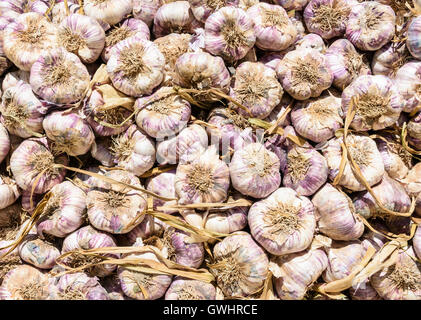 Il francese violet bulbi di aglio impilati in un palo a Saintes-Maries-de-la-Mer mercato in Francia Foto Stock