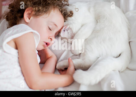 Piccola ragazza dorme con gatto bianco Foto Stock
