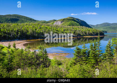 Le Scenic costiere al Parco Nazionale Gros Morne, Terranova e Labrador, Canada. Foto Stock
