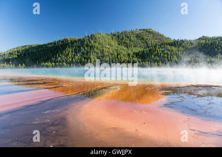 Grand Prismatic Spring in Midway Geyser Basin, con vapore e riflessioni. Parco Nazionale di Yellowstone, Wyoming negli Stati Uniti Foto Stock