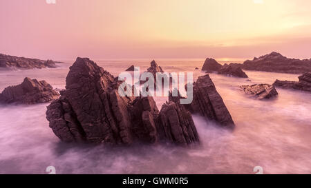 Hartland quay in North Devon al tramonto Foto Stock