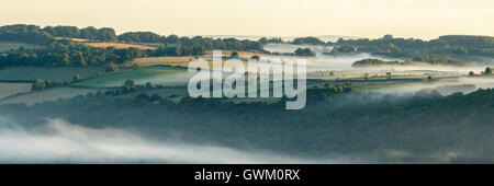 Nebbie su dartmoor e la roccia blackingstone Foto Stock