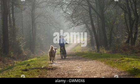 Bambino Bicicletta Equitazione mentre fuori il cane a camminare Foto Stock