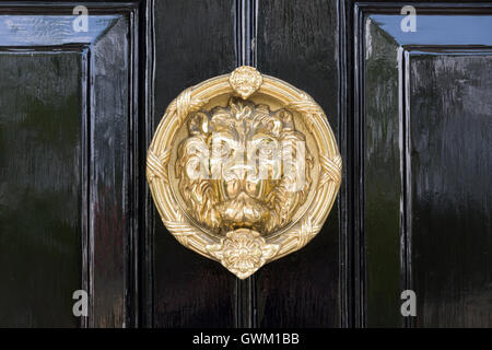 Una tradizionale testa di leone porta respingente a Henley-on-Thames Foto Stock