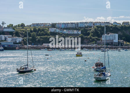 Case colorate in Brixham affacciato sul porto Foto Stock