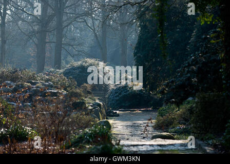 Bremen - Vista del Giardino Botanico che è anche noto come Rhododendron-Park home per una importante collezione di rododendri Foto Stock