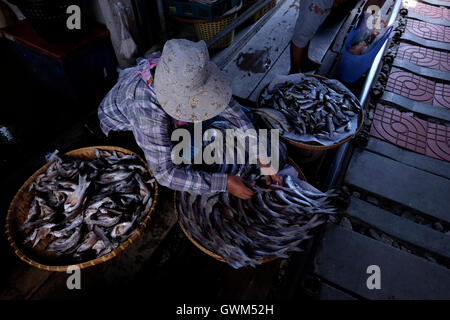 Un venditore vende pesce al mercato ferroviario di Mae Klong, situato a Samut Songkhram, a circa 37 miglia ad ovest di Bangkok, Thailandia Foto Stock