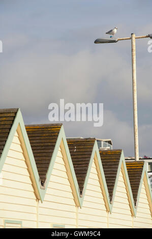 Cabine sulla spiaggia, sulla foreshore, Brighton e Hove, East Sussex, Regno Unito Foto Stock
