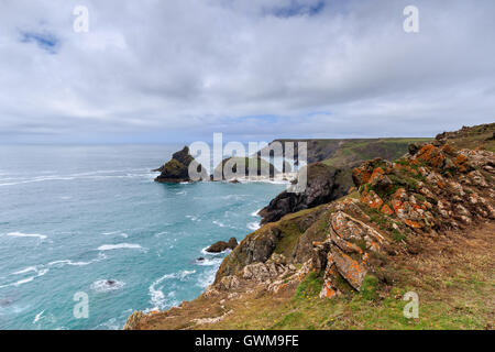 Kynance Cove vicino la lucertola, Cornovaglia , REGNO UNITO. Foto Stock