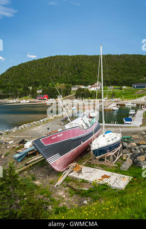 Barche da pesca nel porto di Norris punto, Terranova e Labrador, Canada. Foto Stock