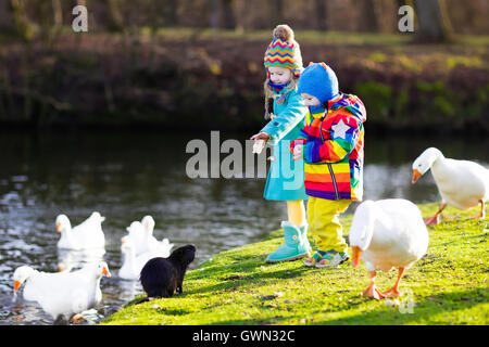 Bambina e ragazzo alimentazione di lontra, anatre e oche nel Parco Fiume sulle fredde giornate d'autunno. Kids prendendo cura degli animali Foto Stock